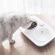 Ergonomically Tilt Pet Food and Water Bowls